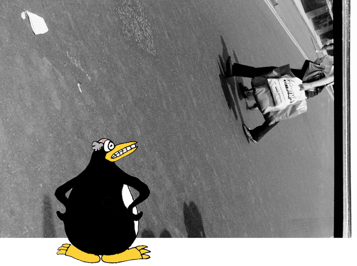 Penguin Standing_ ALJ2018